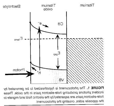 The photocurrents are result from light exciting electrons in the oxide film, in the presence of a Schottky barrier.